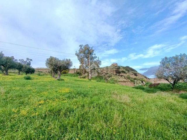 Terreno in vendita a Calabria, Catanzaro