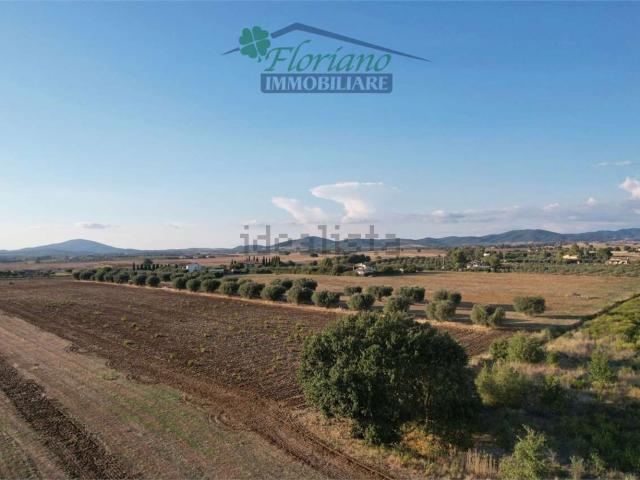 Terreno in vendita a Montalto di Castro, Viterbo