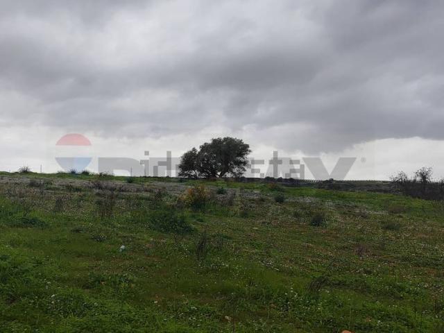 Terreno in vendita a Caltagirone, Sicilia