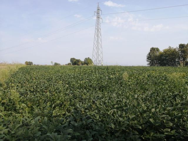 Terreno in vendita a Gazzo Veronese, Maccacari