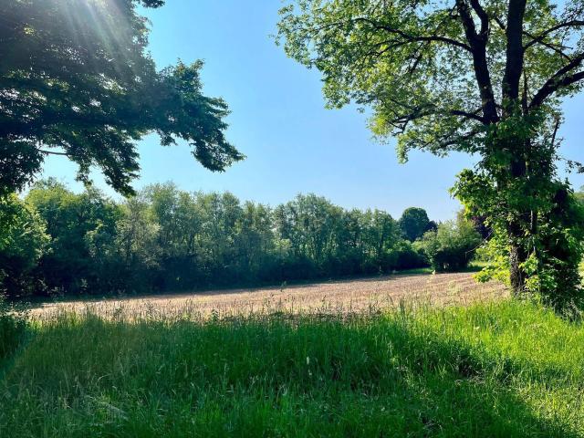 Terreno in vendita a Tricesimo, Friuli-Venezia Giulia