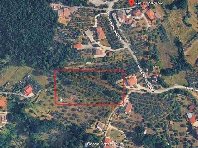 Terreno in vendita a Fontana Scurano, Alatri