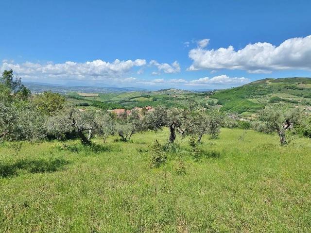 Terreno in vendita a Castel Baronia, Avellino