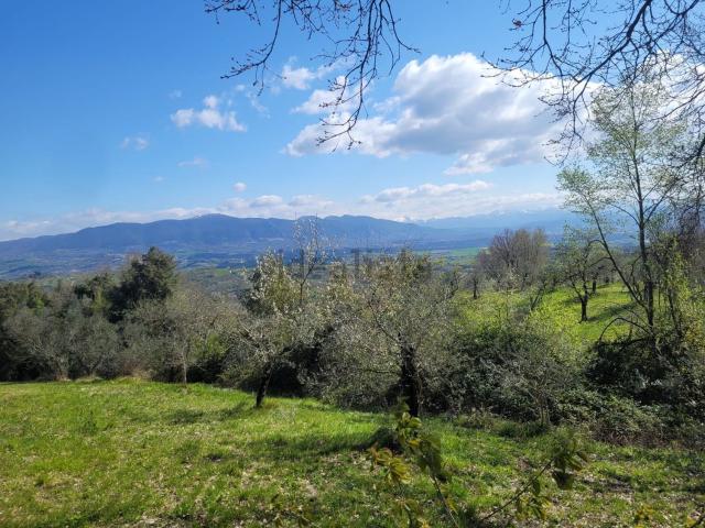 Terreno in vendita a Narni, Umbria