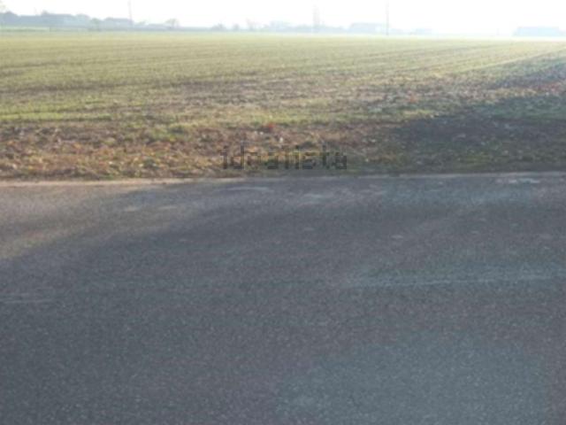 Terreno in vendita a Nogara, Verona