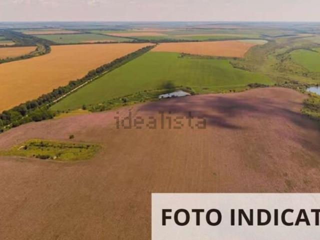 Terreno in vendita a Nogara, Veneto