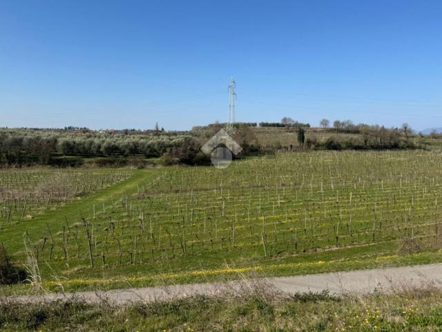 Terreno in vendita a Bardolino, Veneto