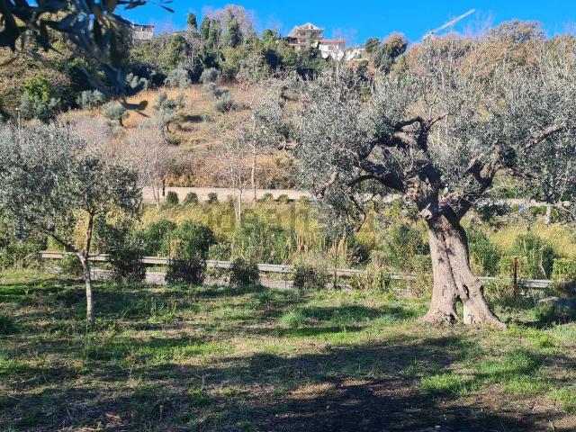 Terreno in vendita a San Nicola, Vasto