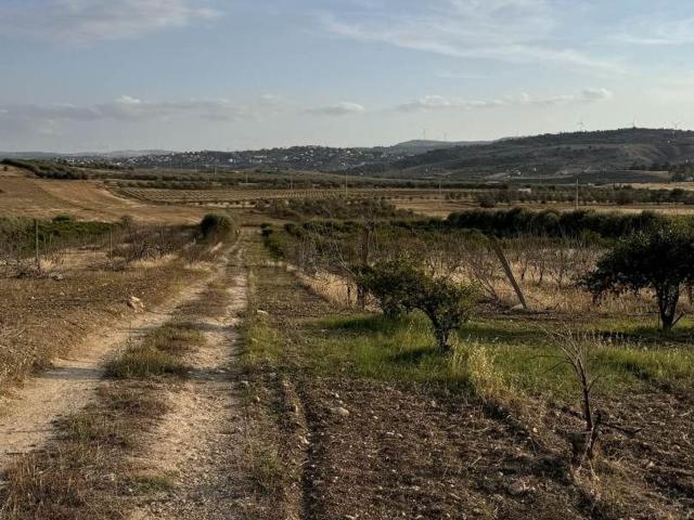 Terreno in vendita a Lentini, Sicilia