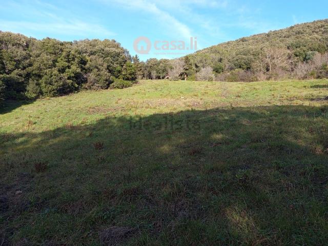 Terreno in vendita a Livorno, Toscana
