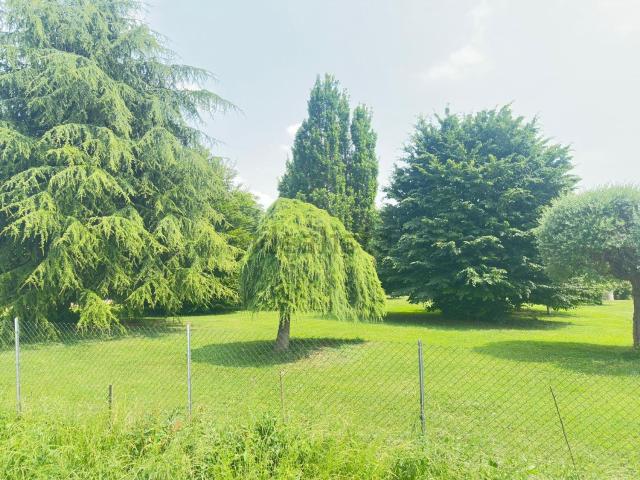 Terreno in vendita a Lendinara, Veneto