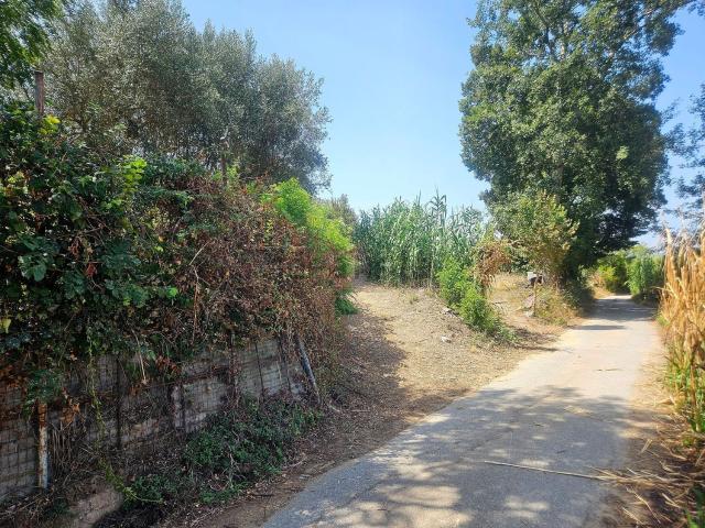 Terreno in vendita a Calabria, Vibo Valentia