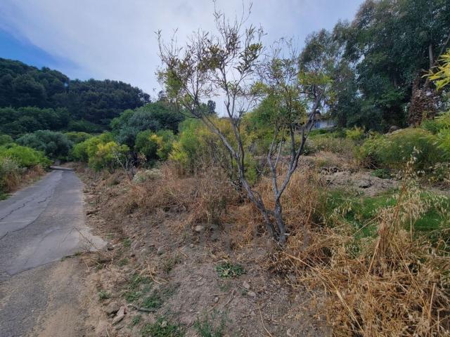 Terreno in vendita a Zanin, Ventimiglia