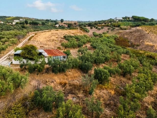 Terreno in vendita a Re di Coppe, Lanciano