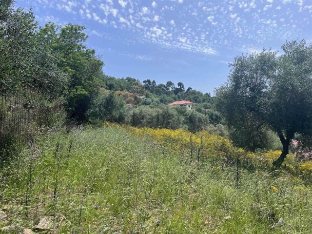 Terreno in vendita a Camporosso, Liguria
