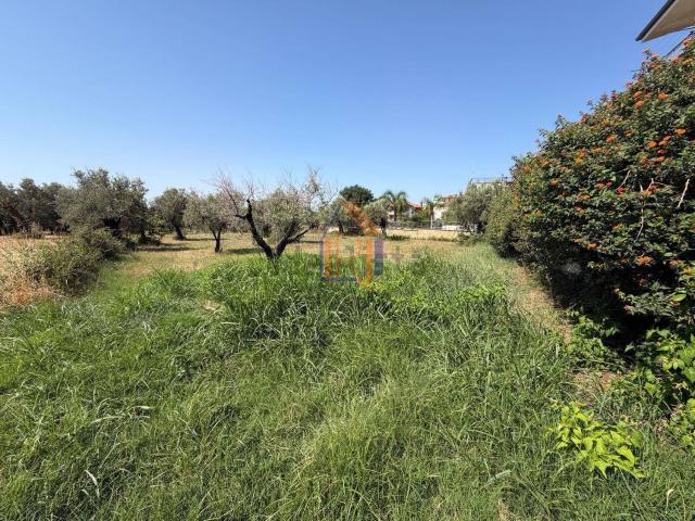 Terreno in vendita a Orto di Renda, Lamezia Terme