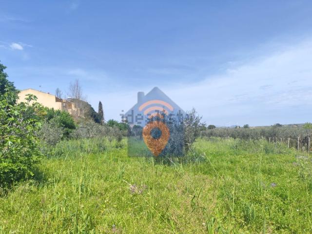 Terreno in vendita a Castelvetrano, Sicilia