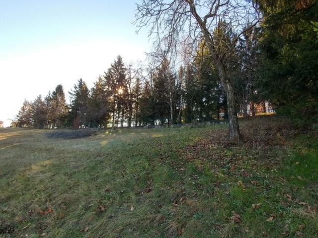 Terreno in vendita a Nogarole Vicentino, Veneto