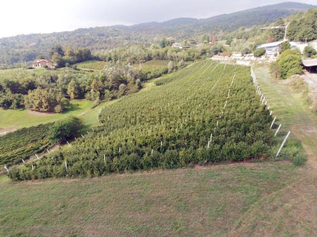 Terreno in vendita a Piemonte, Cuneo