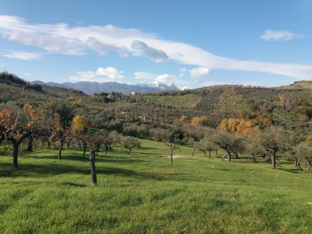 Terreno in vendita a Loreto Aprutino, Abruzzo