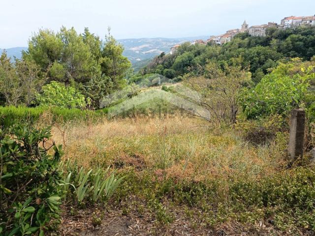 Terreno in vendita a Castelbottaccio, Molise