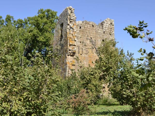 Terreno in vendita a Capranica, Lazio