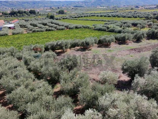 Terreno in vendita a Miglianico Di Chieti, Abruzzo