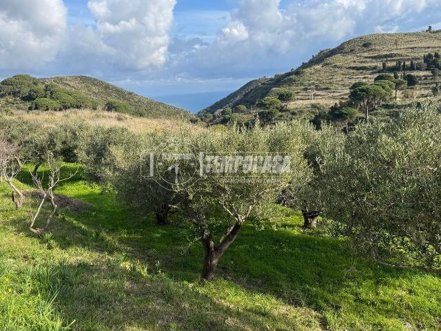 Terreno in vendita a VI Circoscrizione, Messina