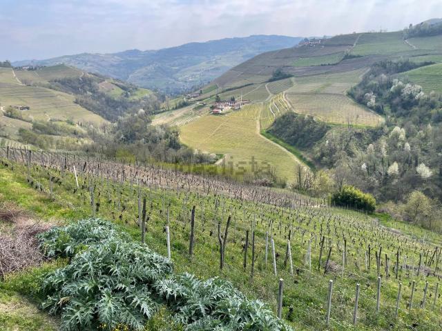 Terreno in vendita a Piemonte, Cuneo