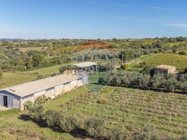Terreno in vendita a Unione di Comuni Montani Colline del Fiora, Pitigliano
