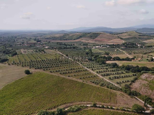 Terreno in vendita a Roccastrada, Toscana