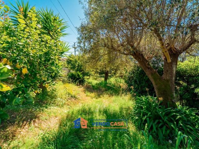 Terreno in vendita a Rinchiostra, Marina Di Massa