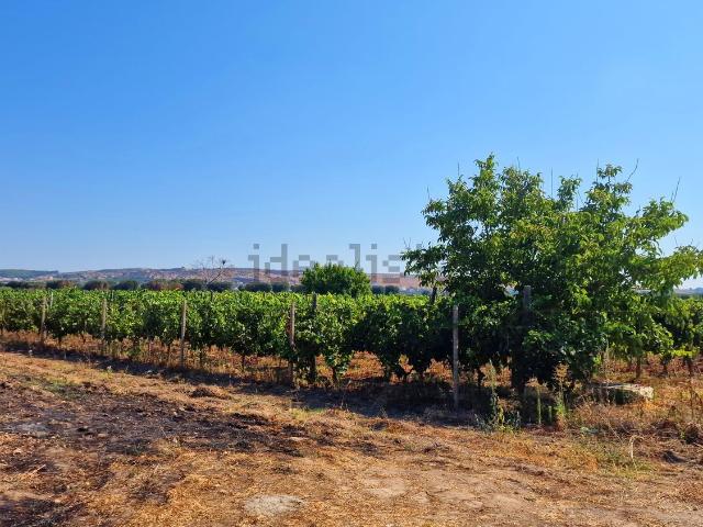 Terreno in vendita a Puglia, Taranto