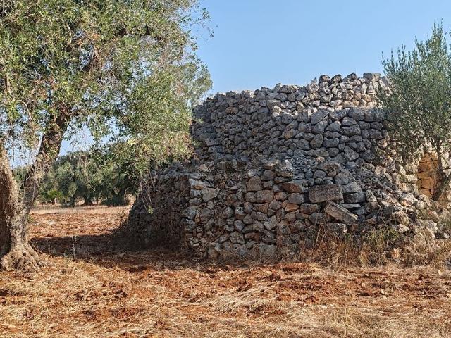 Terreno in vendita a Puglia, Brindisi