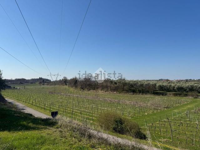 Terreno in vendita a Bardolino, Veneto