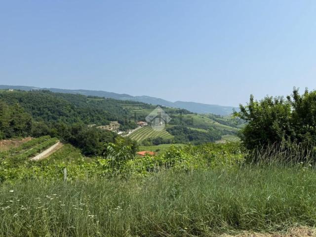 Terreno in vendita a Marano Di Valpolicella, Veneto