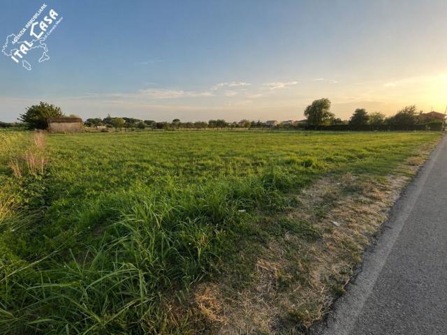 Terreno in vendita a Via Nova, Pieve a Nievole