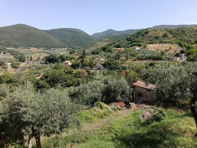 Terreno in vendita a Castel San Pietro Sabino, Poggio Mirteto