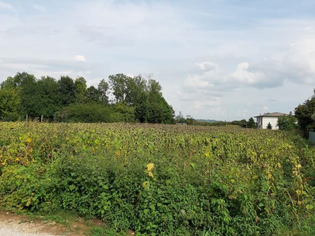 Terreno in vendita a Villaverla, Veneto