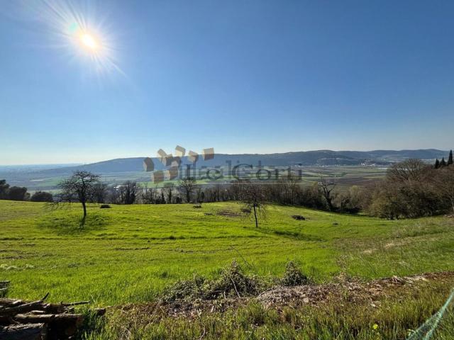 Terreno in vendita a Sossano, Vicenza