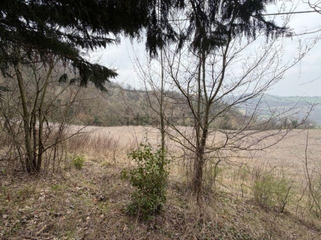 Terreno in vendita a Unione dei comuni Savena-Idice, Pianoro