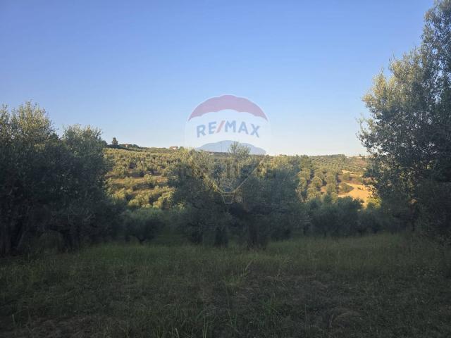 Terreno in vendita a Moscufo, Abruzzo