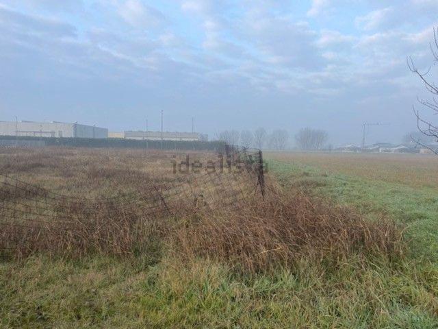 Terreno in vendita a Isola Della Scala, Veneto