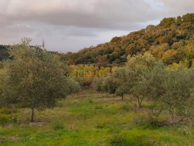 Terreno in vendita a Campagnatico, Toscana