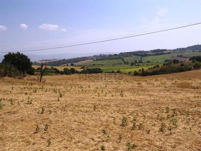 Terreno in vendita a Cortona, Toscana