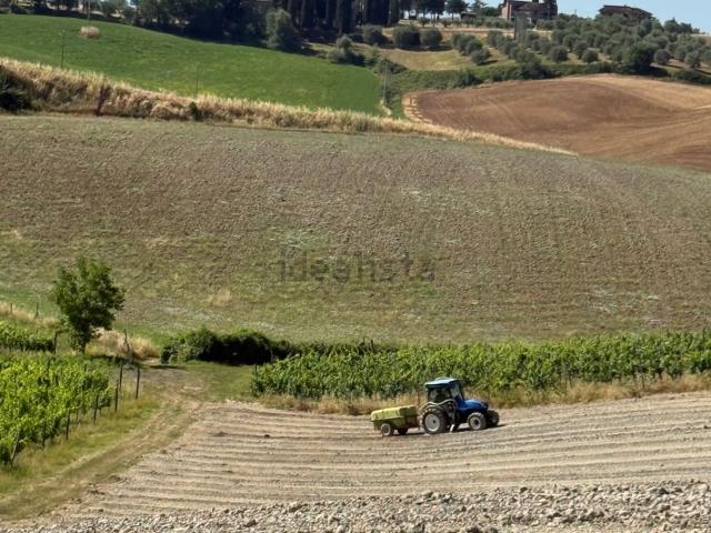 Terreno in vendita a San Piero in Barca, Castelnuovo Berardenga