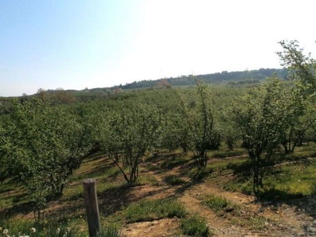 Terreno in vendita a Piemonte, Cuneo
