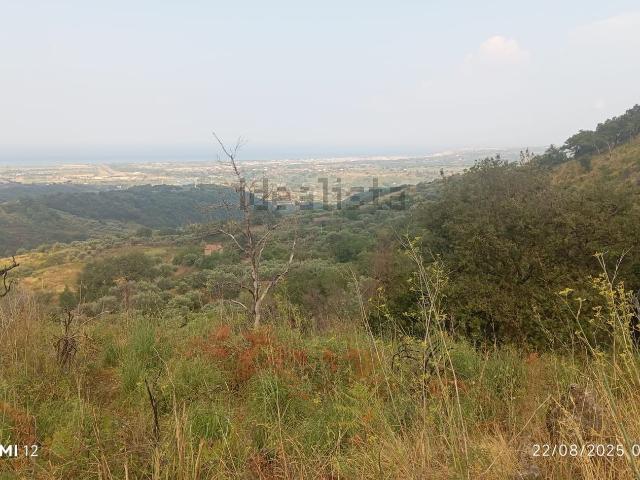 Terreno in vendita a Calabria, Cosenza