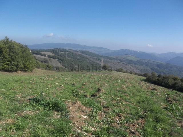 Terreno in vendita a Trivigno, Basilicata