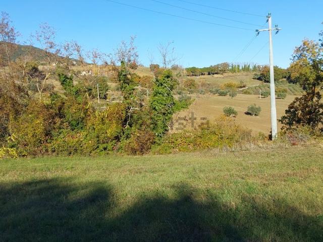 Terreno in vendita a Santa Maria in Piana, Marche